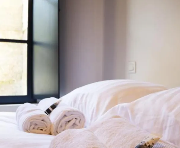 Le Celeste: Hypercentre, Quiet And Parking Apartment Poitiers